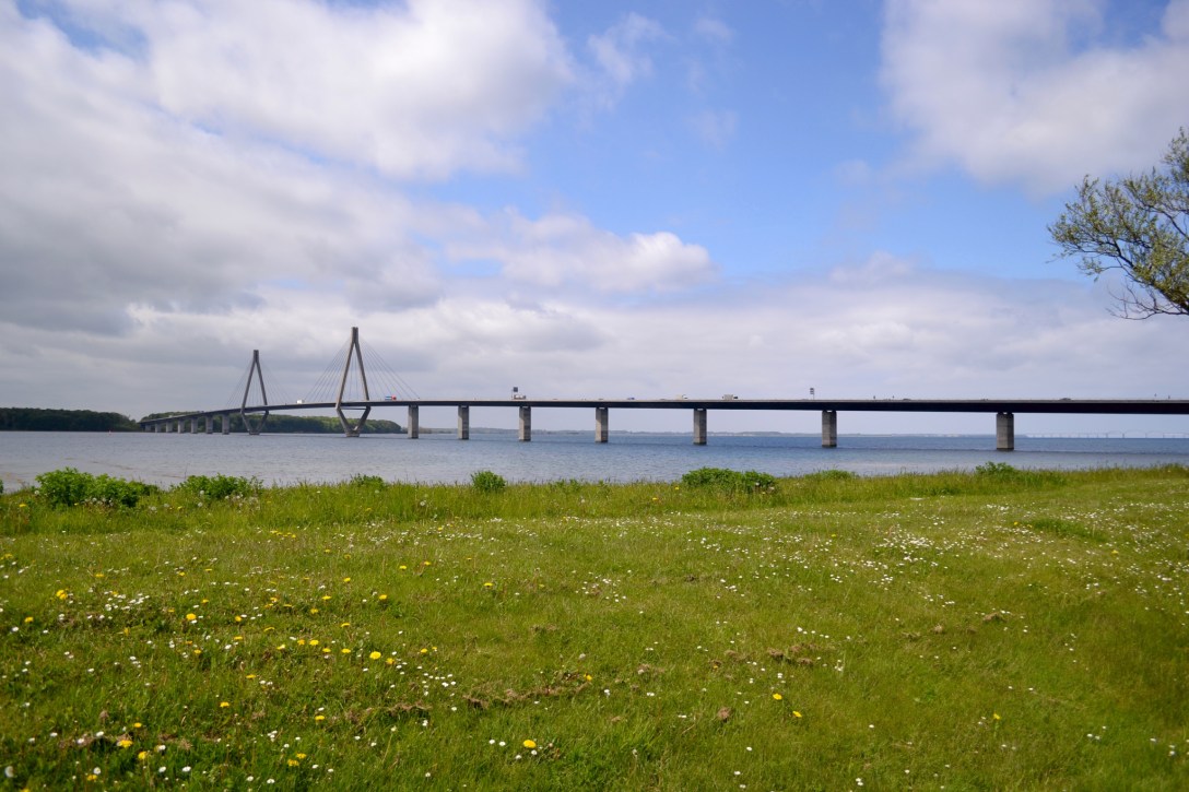 IMG20150526170558_1